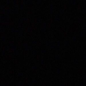 Meet your Posher, Ronnie